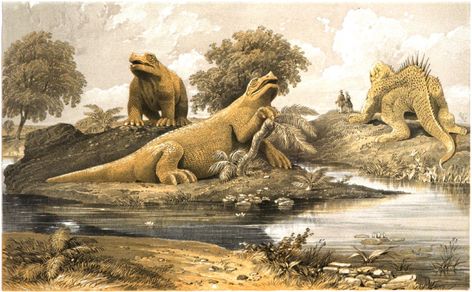 Mark Witton.com Blog: The science of the Crystal Palace Dinosaurs, part 3: Megalosaurus, Hylaeosaurus and Iguanodon Crystal Palace Fc, The Crystal Palace, Wooly Mammoth, Extinct Animals, Dinosaur Art, Prehistoric Animals, Crystal Palace, A4 Poster, Large Picture Frames