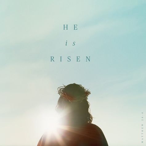 He Is Risen Quotes, Biblical Pictures, Rise Quotes, Matthew 28 6, Resurrection Day, Jesus Is Alive, Jesus Is Risen, He Has Risen, Matthew 28