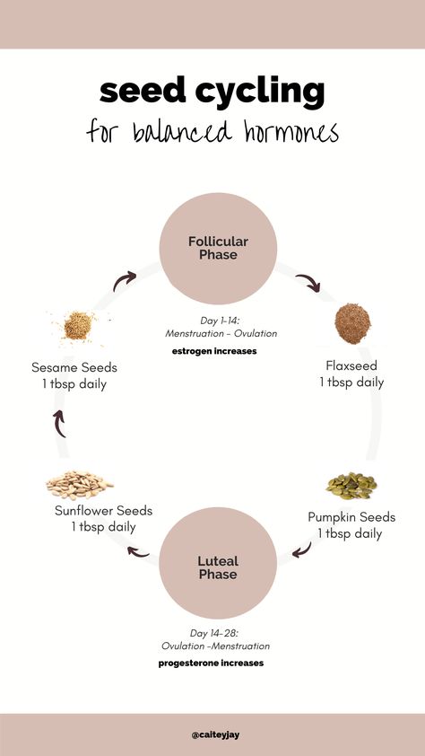 The Ultimate Guide To Seed Cycling For Hormone Balance - Caitey Jay Estrogen And Progesterone, Hormone Imbalance Symptoms, Seed Cycling, Foods To Balance Hormones, Progesterone Levels, Hormone Balance, Happy Hormones, Health Heal, Pregnant Diet