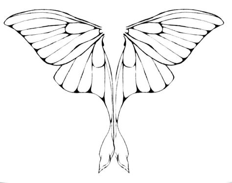 Luna Moth Wing design Moth Wings Drawing, Luna Moth Wings, Wings Sketch, Moth Drawing, Moth Wings, Wings Drawing, Tattoos Geometric, Moth Tattoo, Tattoos Skull