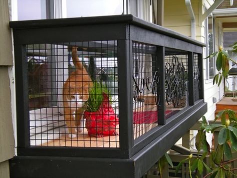 A Catio is the Coolest Thing You Never Knew Your Cat Needed | Apartment Therapy Katt Diy, Diy Cat Enclosure, Kat Diy, Chat Diy, Cat Patio, Outdoor Cat Enclosure, Cat Run, Cat Cages, Cat Window