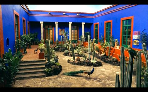 frida kahlo film set Frida Movie, Mexican Hacienda, Mexico Design, Potted Plants Outdoor, Mexican Home Decor, Mexican Home, Yellow Houses, Diego Rivera, Patio Interior