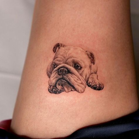 Bull Dog Tattoo, french bulldog tattoo, english bulldog tattoo, traditional bulldog tattoo, usmc bulldog tattoo, marine corp bulldog tattoo, minimalist bulldog tattoo, marine bulldog tattoo, bulldog tattoo ideas, georgia bulldog tattoo, american traditional bulldog tattoo, american bulldog tattoo, angry bulldog tattoo, bulldog tattoo shop, french bulldog tattoo outline, bulldog tattoo designs, marine corps bulldog tattoo, bulldog tattoo parlor,traditional bulldog tattoo flash,mack bulldog tattoo Simple English Bulldog Tattoo, English Bulldog Tattoos, Bulldog Silhouette Tattoo, Small Bulldog Tattoo, English Bulldog Tattoo Minimalist, Bulldog Outline Tattoo, Usmc Bulldog Tattoo, Georgia Bulldog Tattoo, English Bulldog Tattoo Ideas