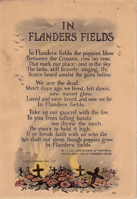 In Flanders Fields the poppy grew. Wear your poppies proud.  I will. In Flanders Fields, John Mccrae, Flanders Field, Anzac Day, Lest We Forget, Remembrance Day, E Reader, Veterans Day, Military History