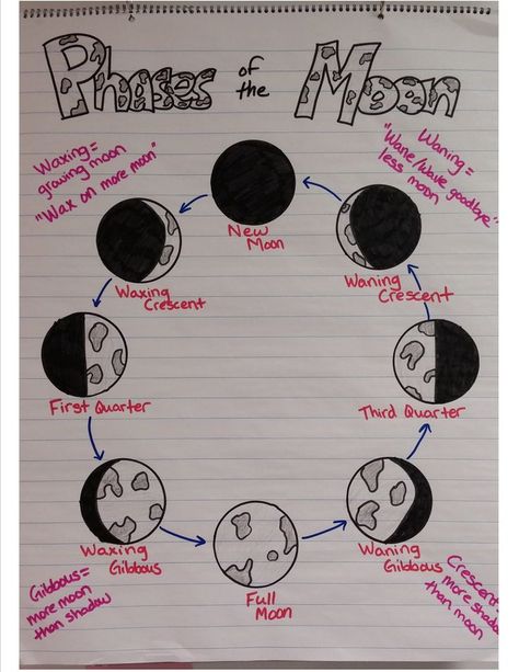 Miller's Science Space: Anchor Charts, Journals and Sooooo Much Going on! Phases Of The Moon Anchor Chart, Moon Phases Anchor Chart, Solar System Anchor Chart, Moon Anchor Chart, 8th Grade Science Projects, Science Chart, Science Anchor Charts, Classroom Anchor Charts, 1st Grade Science