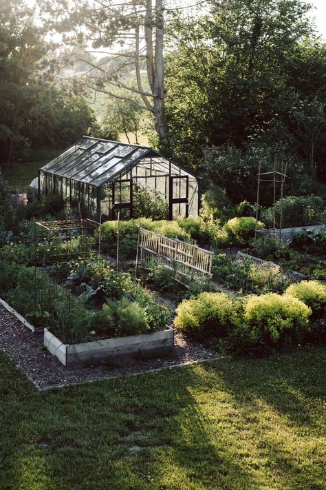 Beyond the Meadows: An Inspiring New Book by the Homesteaders Behind Krautkopf Country Homestead, Kitchen Gardens, Gardening Aesthetic, Backyard Dreams, Gardening Trends, Homestead Gardens, Potager Garden, Perennial Shrubs, Garden Animals