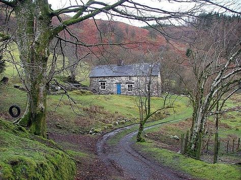 Nature, Led Zeppelin Iii, Immigrant Song, Welsh Cottage, Green Corner, Football 49ers, Magical Woodland, Stone Cottages, Photo Portraits