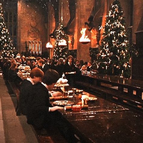 Christmas Harry Potter #harrypotteraesthetic #gryffindoraesthetic #slytherinaesthetic #weasleysweater #weasleytwins Natal, Luna Lovegood, Christmas Harry Potter, Christmas At Hogwarts, Padma Patil, Hogwarts Ravenclaw, Mery Crismas, Harry Potter 3, Weasley Sweater