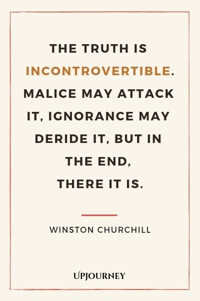 Social Media Quotes Truths, Democracy Quotes, People Quotes Truths, Lesson Learned Quotes, Step Mom Quotes, Winston Churchill Quotes, Churchill Quotes, Make Up Braut, Philosophical Quotes