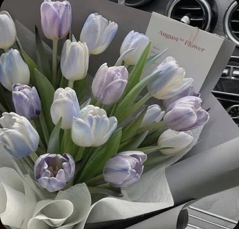 Tulips, Pastel, Ipad, Photo Widgets, Photo Widget, Of Aesthetic, Aesthetic Photo, Iphone Ipad, Lavender