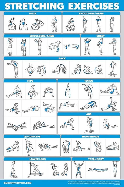 Exercise Poster, Stretch Routine, Gym Workout Chart, Workout Posters, Calisthenics Workout, Formda Kal, Body Workout Plan, Workout Chart, Stretching Exercises