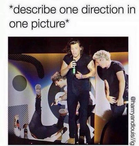 One Direction Quotes, One Direction Funny Quotes, One Direction Jokes, Funny Baby Boy, Gambar One Direction, 1d Funny, Direction Quotes, One Direction Photos, One Direction Harry Styles