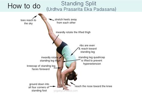 Standing splits are a good way to improve flexibility, and lengthen hamstrings and hip flexors. The key here is not to focus on how high you can lift the back leg. Rather, it's more important to focus on making sure the standing leg kneecap stays facing forward to protect the knee joint, and to be sure that... Yoga Tips, Yoga Sequences, Yoga Exercises, Standing Splits, Split Yoga, Standing Split, Qi Gong, Yoga Postures, Yoga Stretches