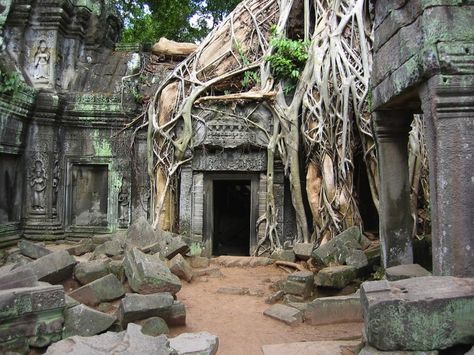 Angkor Wat in Cambodia Phnom Penh, Abandoned Mansions, Ancient Ruins, Siem Reap, Nara, Christ Of The Abyss, Angkor Wat Cambodia, Abandoned House, The Ruins