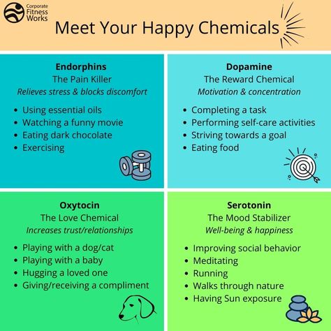 Meet your happy chemicals! Check out these 4 chemicals found naturally in your body that help you feel happy. #teamcfw #cfw #corporatefitnessworks #fitness #happy #chemicals #hormones #happychemicals #seratonin #dopamine #endorphins #oxytocin Happy Chemicals, Mental Health Facts, Trust In Relationships, Happy Hormones, Social Behavior, Mental And Emotional Health, Self Care Activities, Brain Health, Health Facts