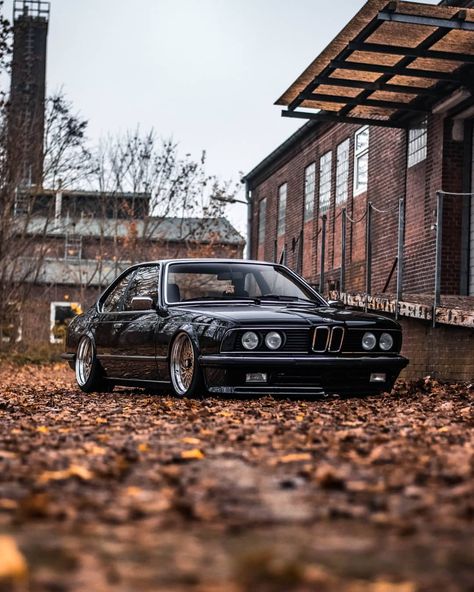 Bmw 635 Csi E24, 325i Bmw Gusheshe Wallpaper, Bmw Sharknose, Bmw E24 635csi, E24 Bmw, Bmw 635 Csi, Bmw 635, Bmw E24, Bmw E9