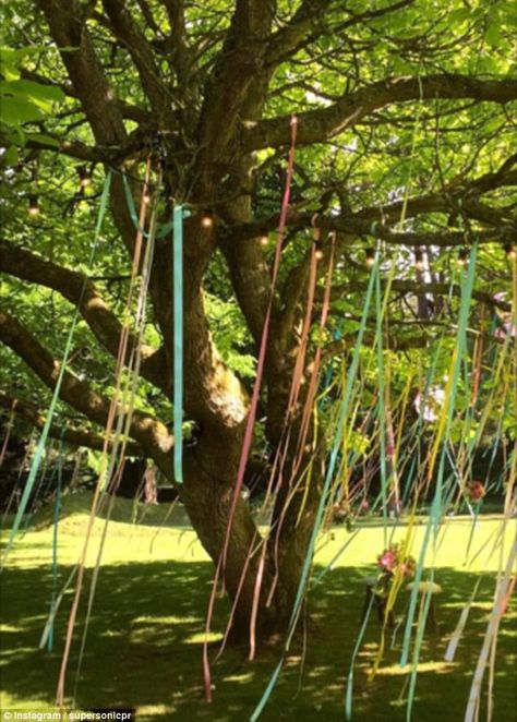 Woodland Fairy Birthday Party, Wedding Trees, Outside Birthday, Adventure Birthday Party, Enchanted Forest Birthday, Forest Birthday Party, Enchanted Forest Party, Nature Party, Fantasy Party