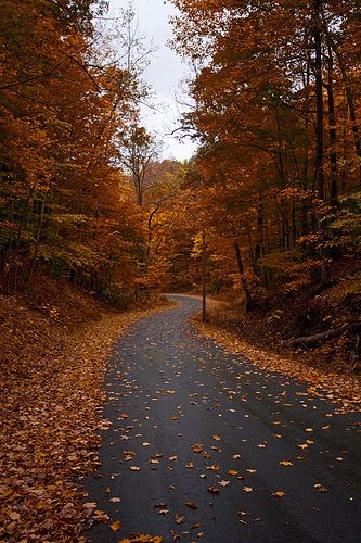 Winding Country Road in Fall | Flickr - Photo Sharing! Skaneateles Lake, Autumn Scenes, Autumn Scenery, Autumn Cozy, Autumn Beauty, Fall Pictures, Autumn Aesthetic, Fall Wallpaper, Country Road