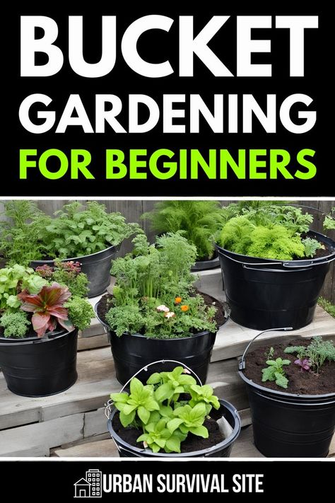 Anyone can start bucket gardening, but if you want to have a truly successful bucket garden, you need to know which plants to grow and how to care for them. In this guide to bucket gardening, we teach you how to grow herbs and veggies on your porch, balcony, or indoors. Balcony Gardening, Bucket Gardening Ideas, Bucket Vegetable Gardening, Plant Grafting, How To Grow Herbs, Prepper Ideas, Bucket Garden, Gardening Indoors, Container Herb Garden