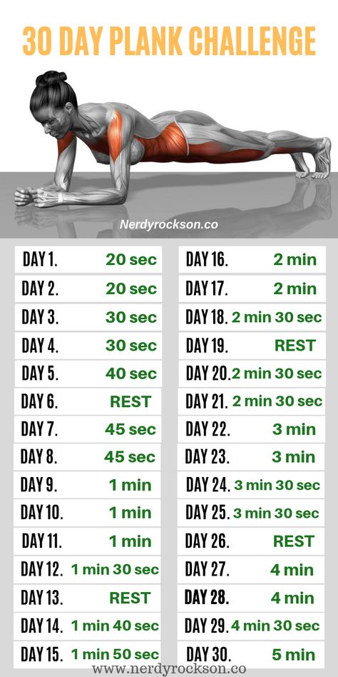 Male Fitness Photography, Daily Ab Workout, Arm Workout Routine, Plank Exercise, Effective Workout Plan, Simple Workout, 30 Day Plank, 30 Day Plank Challenge, Bolesti Chrbta