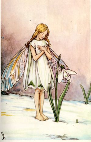 Snowdrop fairy. In the language of flowers, a snowdrop means 'Hope". So, she is the fairy of hope. Snowdrop Fairy, Illustration Blume, Fairy Illustration, Cicely Mary Barker, Vintage Fairies, Fairy Book, Art Et Illustration, Flower Fairies, Fairytale Art