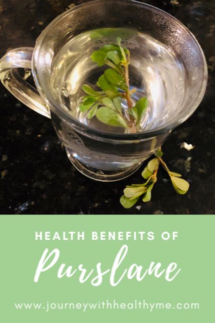 Health Benefits of Purslane - Journey With Healthy Me Purslane Tincture Recipe, Purslane Plant Benefits, Purslane Plant Recipes, Purslane Benefits, Purslane Recipes, Purslane Recipe, Purslane Plant, Mountain Plants, Medicinal Weeds