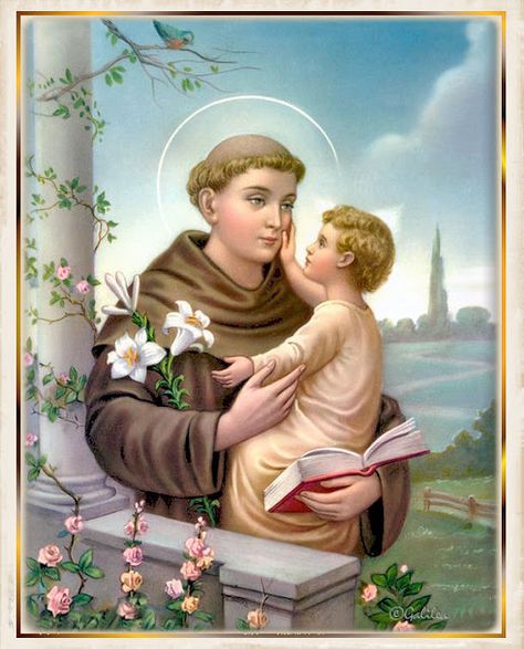 Testimonios para Crecer: San Antonio de Padua 13 de Junio St Anthony Prayer, World Day Of Prayer, Saint Antony, Saint Anthony Of Padua, Santi Cattolici, Saint Anthony, Child Jesus, Religious Images, Catholic Prayers