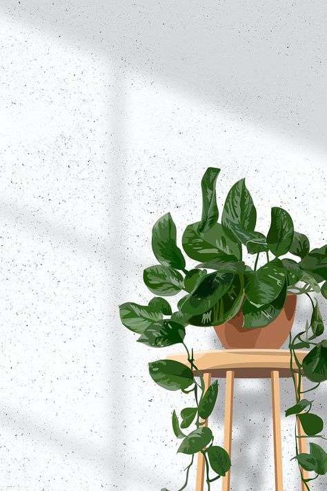 Indoor plant background aesthetic vector, hanging pothos white wall with natural light | free image by rawpixel.com / Aew Nail Wallpaper Backgrounds Aesthetic, Asthetic Wallpers Iphone White, Indoor Plant Wallpaper, Plant Wallpaper Ipad, White Asthetic Wallpers, Green Plant Background Aesthetic, Iphone Background Plants, Plant Aesthetic Wallpaper Iphone, White Background Aesthetic Flowers