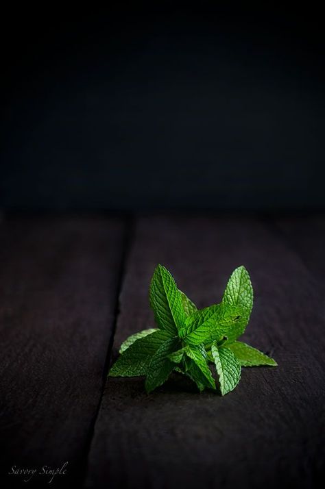 Ingredients Photography, Spring Appetizers, Vegetables Photography, Dark Food Photography, Food Art Photography, Trendy Plants, Roasted Cherry, Fruit Photography, Food Photography Inspiration