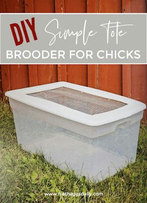 Plastic Tote Chicken Brooder, Diy Brooder Box Ideas, Brooder Box Ideas, Diy Chick Brooder, Chicken Keeping Hacks, Chicken Brooder Box, Metal Wash Tub, Chick Brooder, Brooder Box