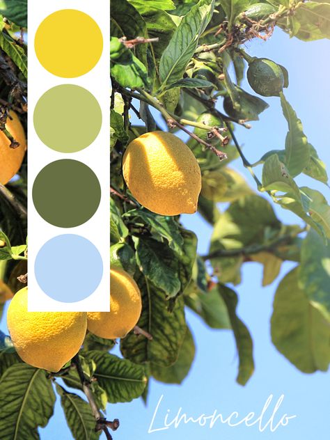 Cinque Terre Color Palette, Summer Color Palettes Clothes, Greek Island Color Palette, Spring Palette Color, Limoncello Color Palette, Italian Colors Palette, Wedding Summer Palette, Summer Palette Color, Capri Color Palette