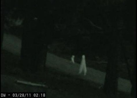 Video still: 2011 Fresno, California. Night Crawlers, Real Paranormal, Real Ghost Photos, Alien Pictures, Alien Photos, Paranormal Photos, Be Silent, Fresno California, Real Ghosts