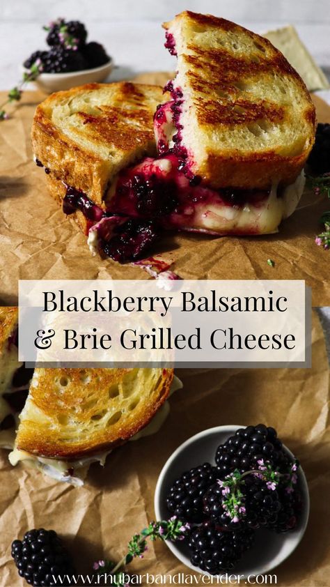 Brie Grilled Cheese Sandwich, Balsamic Jam, Grilled Cheese Recipes Gourmet, Blackberry Balsamic, Brie Grilled Cheese, Melted Brie, Grilled Cheese Recipes, Delicious Sandwiches, Cheese Sandwich