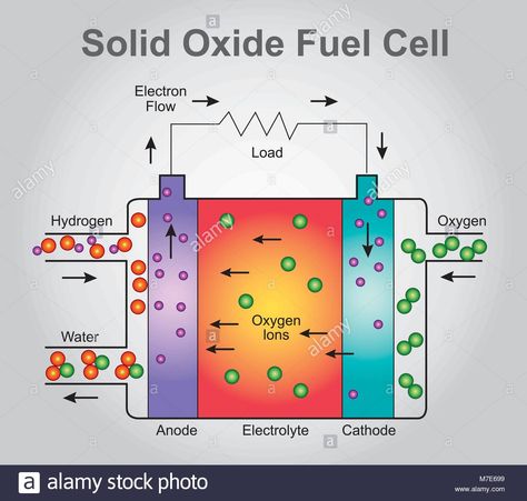 Hho Gas, Cell Diagram, Hydrogen Generator, Throbbing Headache, Free Energy Projects, Survival Books, Cell Structure, Info Graphic, Education Technology