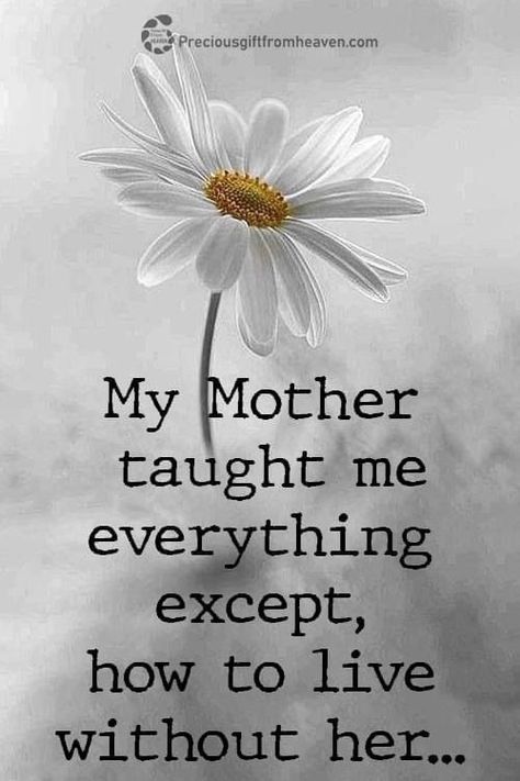 Miss My Mom Quotes, My Mom In Heaven, Miss You Mom Quotes, Mom In Heaven Quotes, In Loving Memory Quotes, I Miss My Mom, Remembering Mom, Miss Mom, Mom In Heaven