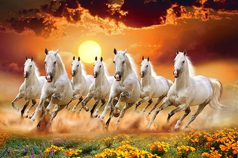 Running Horse Wallpaper For Phone, 7 Horses Running Painting Vastu Wallpaper, Seven Horse, Seven Horses Painting, Shagya Arabian, Seven Horses, Cai Arabi, Abstract Horse Art, Running Pictures