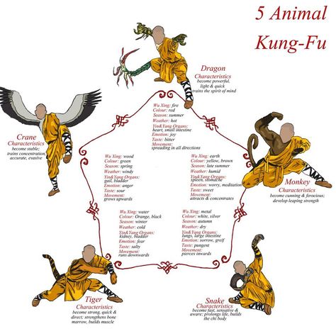 Reference for 5 Animal Kung-Fu -100% followback at 'Real Martial Arts'. Need To Learn This. -K Simmons Karate Shotokan, Trening Sztuk Walki, Kung Fu Martial Arts, Shaolin Kung Fu, Pencak Silat, Tai Chi Chuan, Chi Kung, Ju Jitsu, Martial Arts Techniques