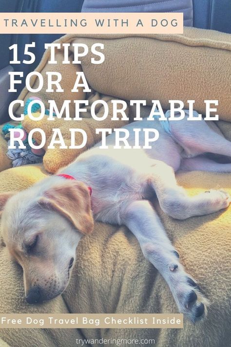 Dog Trip Checklist, Traveling With A Dog Road Trips, Road Trip Dog Essentials, Traveling With Your Dog, Travel With A Dog, Traveling With Pets In Car, Road Trip With Dogs Ideas, Travelling With Dog, Traveling With Dogs Road Trips