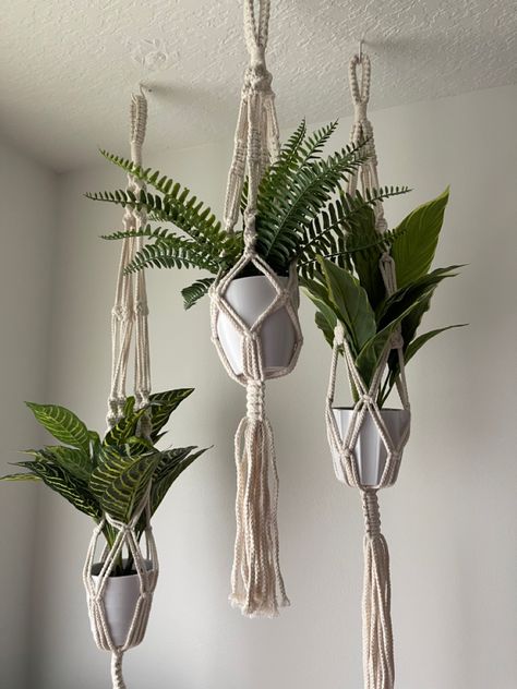 Cute Room Decor Sage Green, Botanical Teenage Bedroom, Cute Hanging Plants For Bedroom, Succulents Bedroom Decor, Light Green Office Decor, Cute Plant Room Decor, Modern Bedroom Corner Ideas, Boho Style Plants, Bedroom Wall Plant Decor