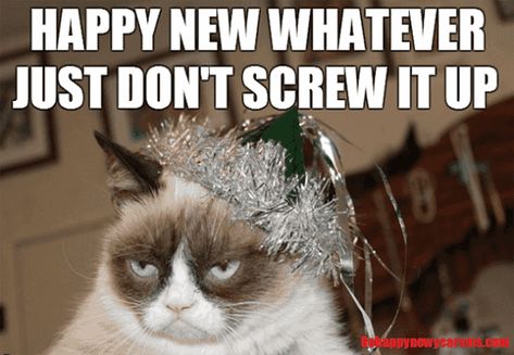 30 Funny New Year Memes & New Year's Eve Quotes To Start The Year Off Right Humour, Happy New Year Meme, Funny New Years Memes, New Years Resolution Funny, New Year Jokes, New Year Resolution Quotes, New Years Eve Quotes, New Year Meme, Silvester Make Up