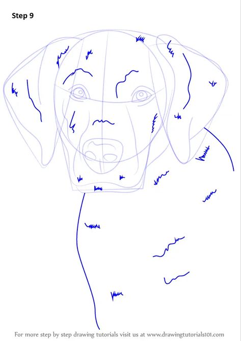 Learn How to Draw a Labrador Face (Farm Animals) Step by Step : Drawing Tutorials Draw A Labrador, Dog Face Drawing, Dog Drawing Tutorial, Pitt Artist Pens, Flower Art Drawing, 3d Drawing, Artist Pens, Face Painting Designs, Drawing Tutorial Easy