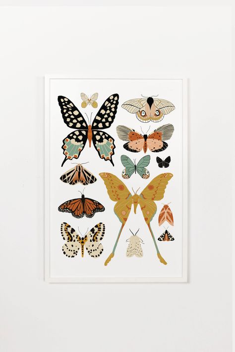 Butterfly Collector Art Print - Project Nursery Butterfly Nursery, Beautiful Butterflies Art, Painted Rug, Butterfly Wall Art, Art Appreciation, Butterfly Art, Childrens Art, Room Wall Art, Butterfly Print