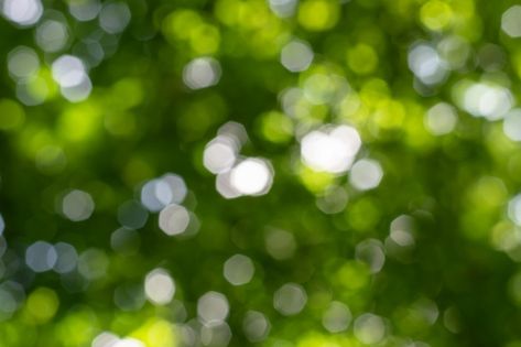 Natural bokeh background with leaves, tr... | Premium Photo #Freepik #photo #background #pattern #abstract-background #abstract Tela, Nature, Natural Bokeh Background, Green Background Pictures, Peaceful Backgrounds, Trees And Sky, Mushroom Background, Blur Image Background, Blurred Lights