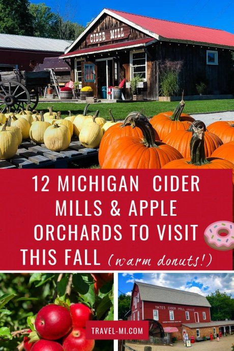 Michigan Apple Orchard, Michigan Cider Mills, Fall Leaves Michigan, Things To Do In Michigan In The Fall, Michigan In The Fall, Things To Do In Michigan, Fall In Michigan, Michigan Fall, Travel Michigan