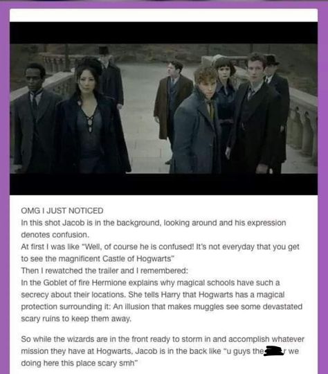 Fantastic Beasts - Hogwarts Humour, Harry Potter Jokes, Movies Ideas, Fantastic Beasts Fanart, Facts Of Life, Fantastic Beast, Newt Scamander, Harry Potter Headcannons, Fantastic Beasts And Where