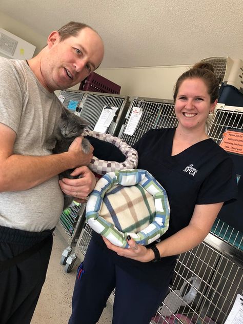 Many of you asked for a pattern so that more of you could make a donate these cat beds to our centres. The pattern is officially here. Time to get sewing! Sewing A Cat Bed, Easy Dog Bed Sewing Pattern, Homemade Cat Beds Diy, Homemade Cat Beds, Pet Bed Pattern, Cat Bed Pattern, Kat Diy, Diy Cat Bed, Diy Pet Bed