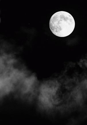5 Moon Gifs - Gif Abyss Night Clouds, Wallpaper Hitam, Amazing Gifs, Moon Pictures, White Sky, Beautiful Moon, Arte Horror, Moon Art, Dark Forest