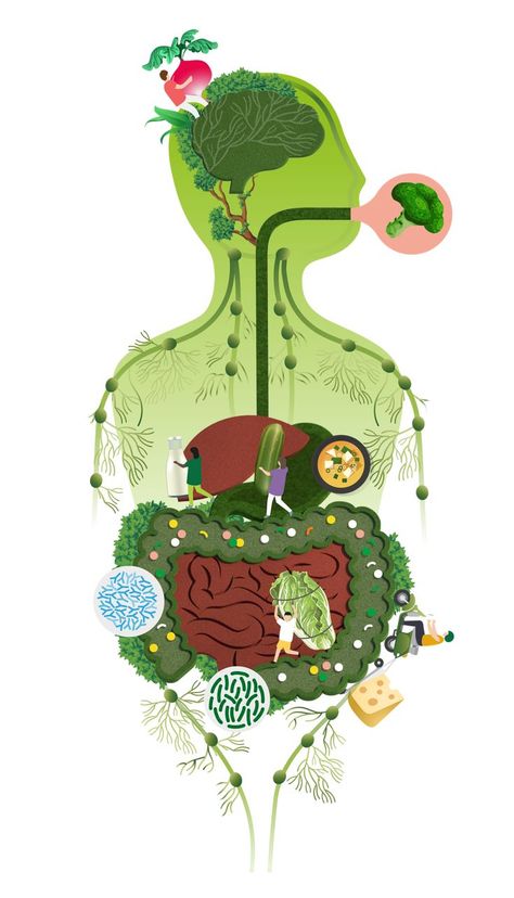 Nutritionist Branding, Nutrition Poster, مشروعات العلوم, Illustrator Design Tutorial, Art Web, Nutrition And Dietetics, Buddha Art, Nutrition Recipes, Poster Making