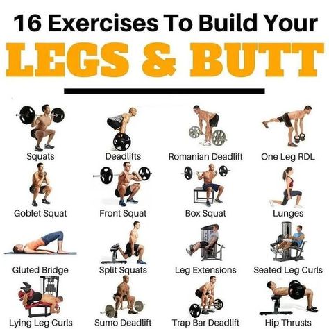 Women’s Weight Lifting Plan, Glutes Workout Men, Leg Workouts For Men, Killer Leg Workouts, Leg Workouts Gym, Workout Program Gym, Best Leg Workout, Leg Workout At Home, Gym Workout Chart
