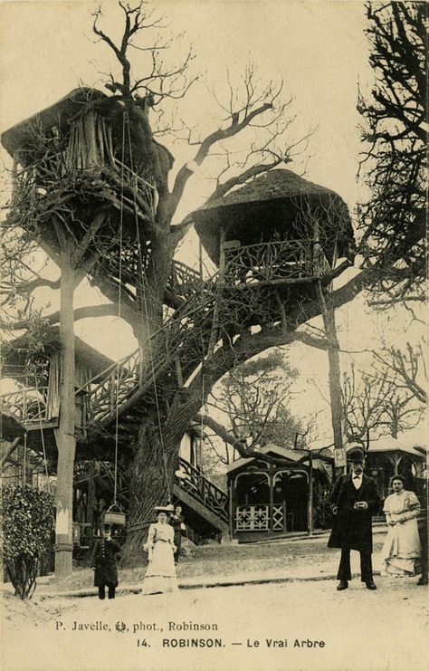 Le Plessis Robinson, Treehouse Living, Swiss Family Robinson, Rome Antique, Cool Tree Houses, Paris Summer, Tree House Designs, Chestnut Trees, Whistler